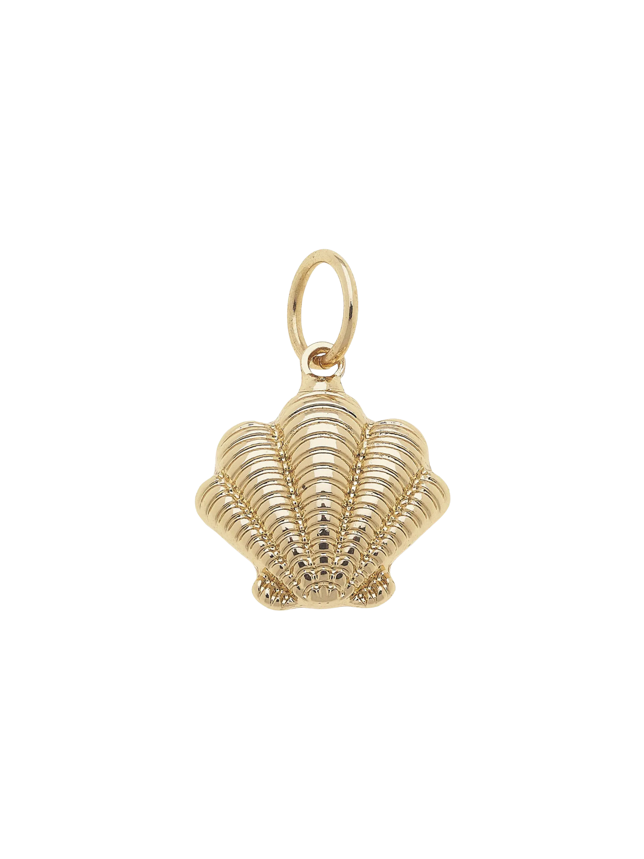 Ribbed Clamshell Charm